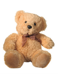 teddy bear