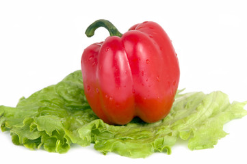 Red Bulgarian pepper on green salad