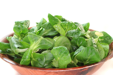 Feldsalat