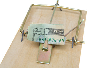 Folded $20 Twenty Dollar Bill Mousetrap Isolated