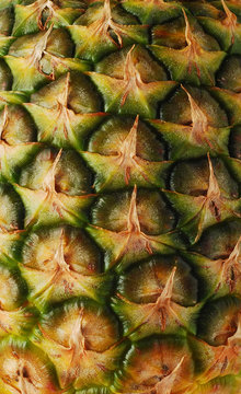 pineapple crust texture