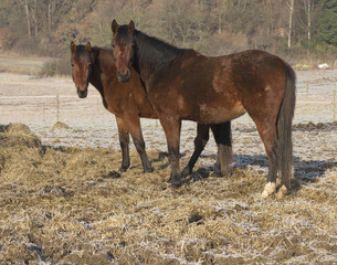 Fototapeta premium Mutter-Kindbeziehung