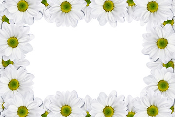 Flowers frame on white background