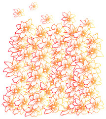 Flowers pattern
