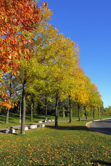 Naklejka premium Colors of Autumn