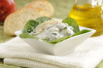 Traditional Bulgarian Salad Snezhanka