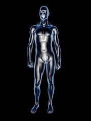 Menschlicher Körper - Anatomie
