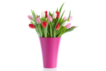 tulips in a pink vase - 29534667