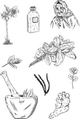 herbewoman and herbs