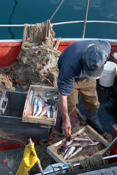 pescatore in Liguria