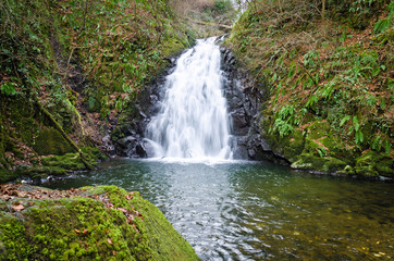Fototapeta premium Glenoe Waterfall