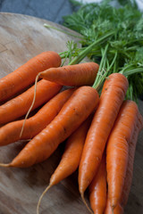 Bunch of Carrots