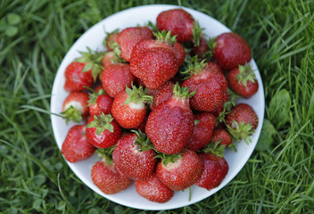bowl of strawberries