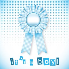 Baby blue card announcement with cockade