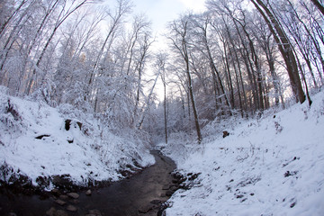 Schussenursprunh Bach