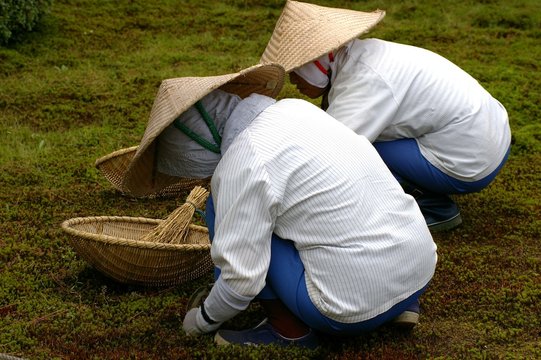 Japanese Gardeners