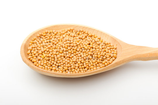 mustard seeds