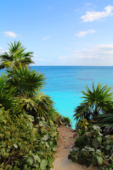 Fototapeta premium Cancun landscape