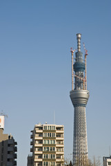 Obraz premium Tokyo Tower