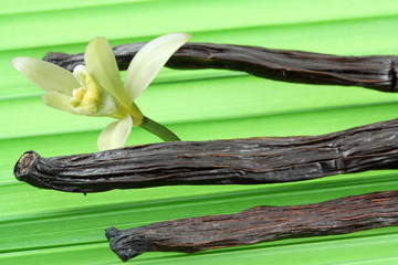 gousses et fleur de vanille Bourbon sur feuille de palmier