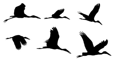 Open Bill Stork