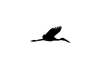 Asian Open Bill Stork