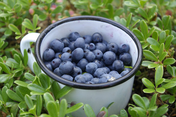 blueberries