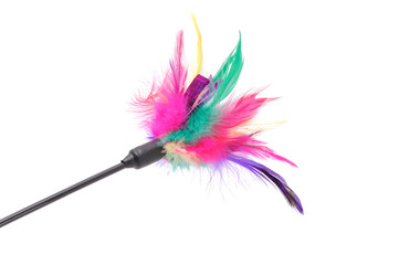 Feathered Pole Cat Toy on White Background