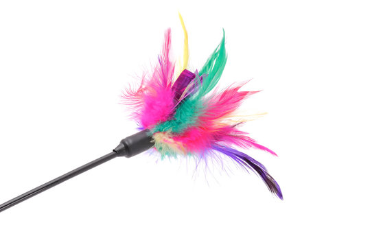 Two Cats Play with a Toy Rod with Feathers for Teasing. Vector