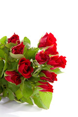 Bouquet of red roses in closeup over white background