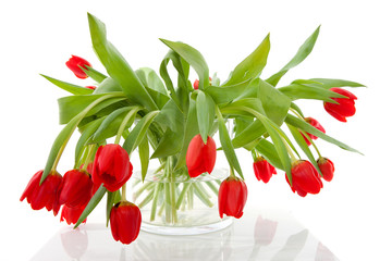 bouquet of red tulips in vase over white background
