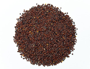 Braune Senfsamen auf weißem Grund