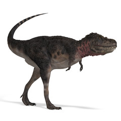 Fototapeta premium Dinosaur Tarbosaurus. 3D rendering with clipping path and