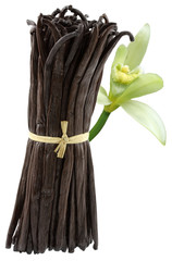 fleur véritable vanille Bourbon sur botte de gousses de vanille