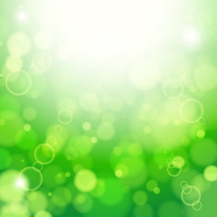 Fototapeta premium Fresh lime blur background with sunlight spots.