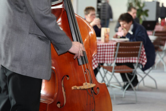 Bassist