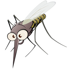 mücke moskito cartoon - obrazy, fototapety, plakaty