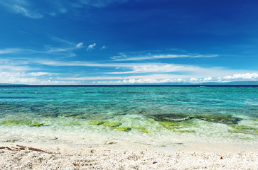 Fototapeta premium Beautiful beach