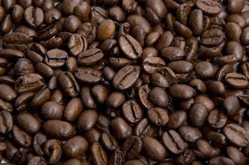 Coffee / Kaffee / Kaffebohnen