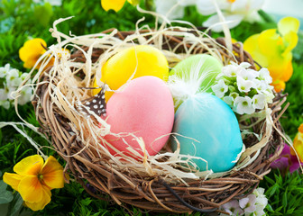 colorful Easter Eggs in a nest on the grass