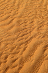 Desert