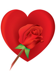 Valentine heart of love