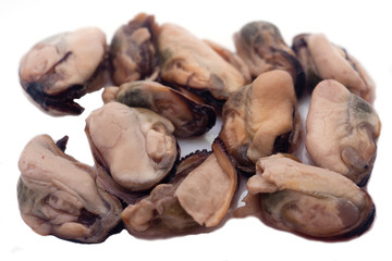 fresh mussels