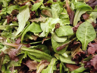 Fototapeta premium Spring Leaf Salad
