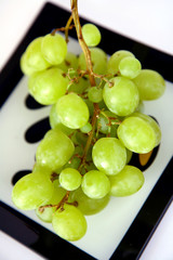 Juicy bunch of green grapes in sunlight