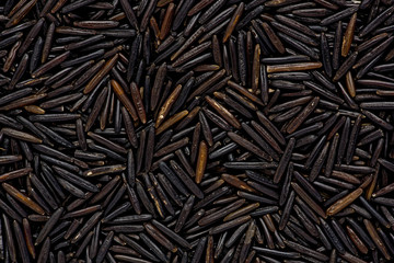 Wild Rice