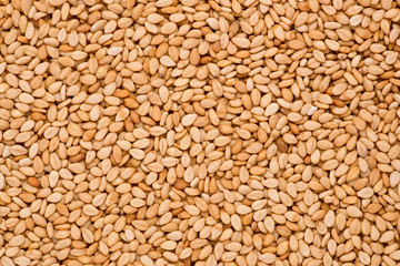 Sesame Seeds (Sesamum indicum)