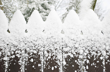 Snow On A Fence
