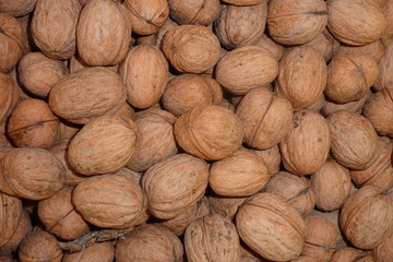 frische Walnüsse