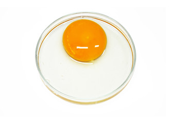 Egg in glass plate